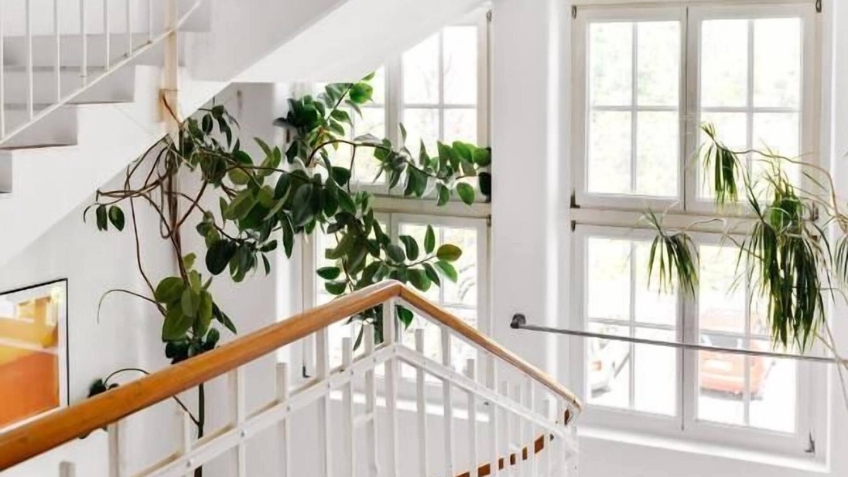 Petershausen-West Apartment | WHLIVING - Apartments & Studios