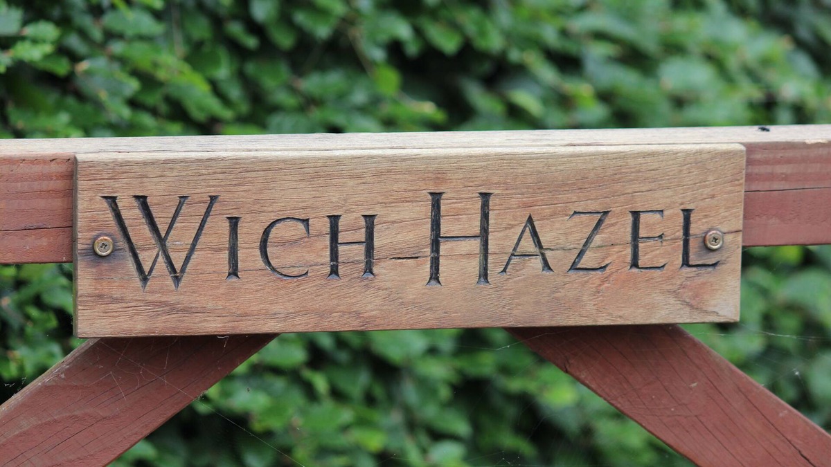 Woodfalls Apartment | Wich Hazel a rural retreat for two