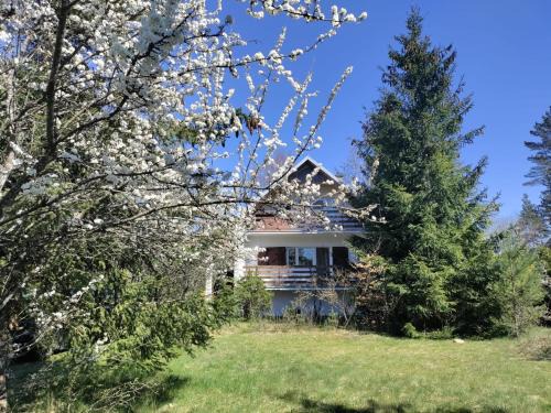 Podjazy House | Widny Jaś zaprasza z psem nad jezioro na Kaszubach