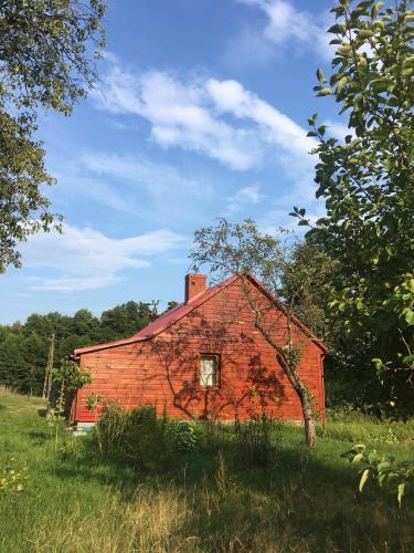 gmina Mielnik House | Wiejski domek w środku lasu Osłowo Mielnik