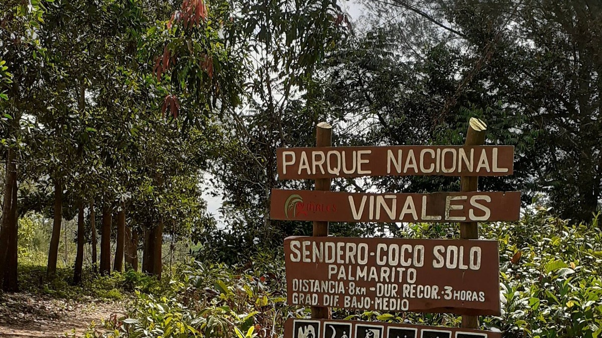 Vinales House | Wilber House 4 Hours Free Horse Tour Included