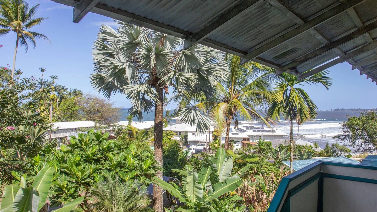 Hilo Hotel | Wild Ginger Hotel