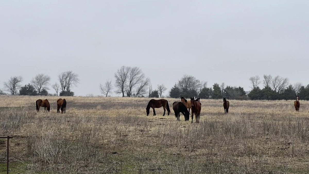 Vinita Other | Wild Horse Hideout/Private Pool Country Living
