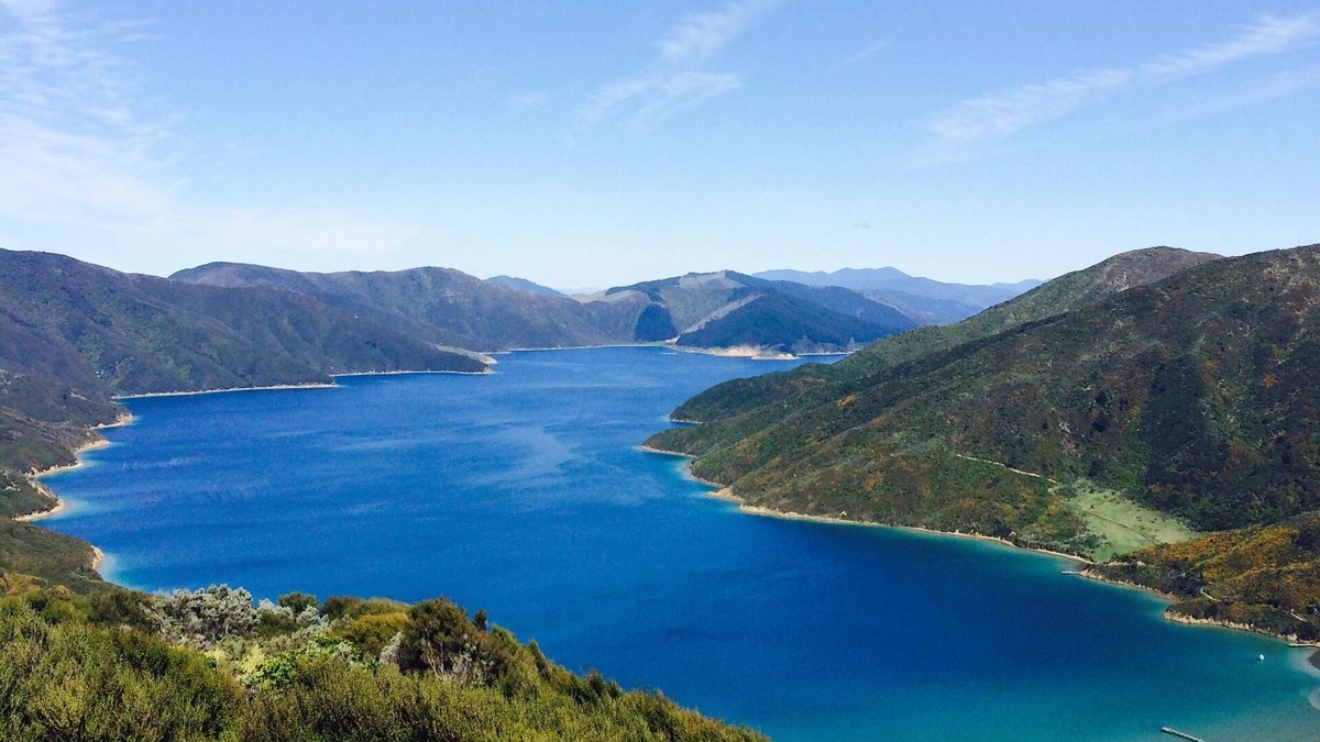 Queen Charlotte Sound House | Wild Island Barn in the Queen Charlotte Sounds - Boat or helicopter access only