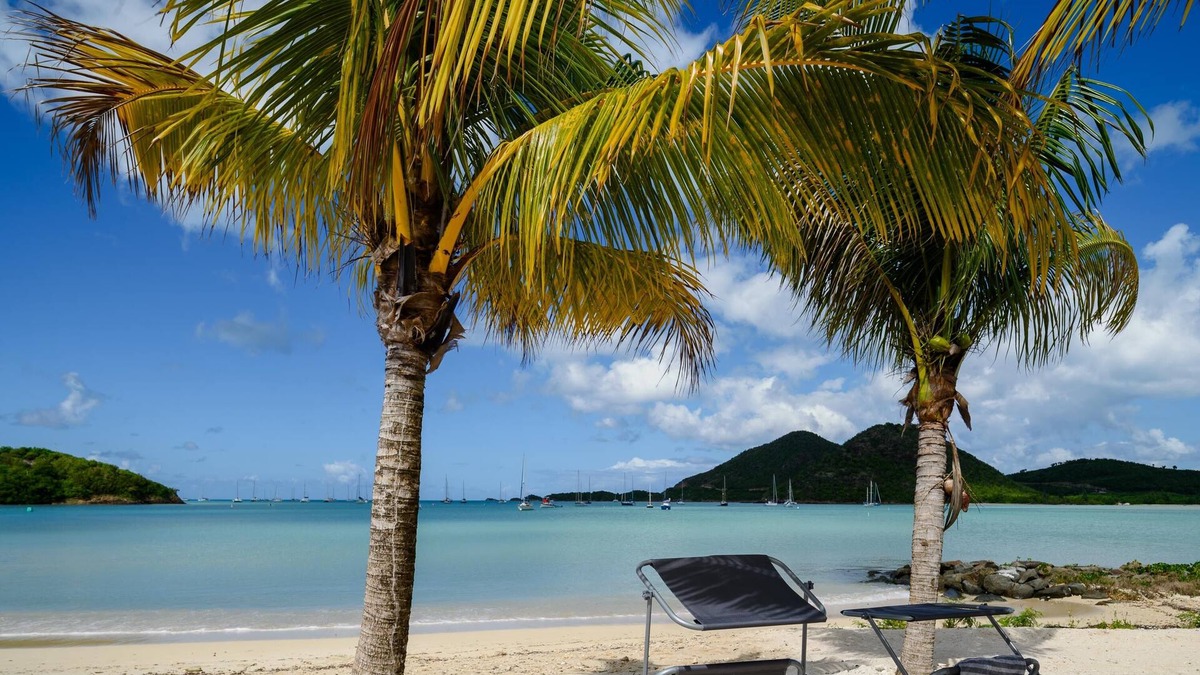 Saint John Parish Villa | Wild Lotus Villa - Waterfront on Jolly Harbour
