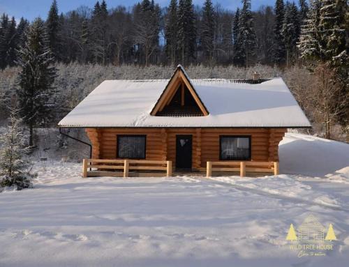 Varsag Apartment | Wild tree house