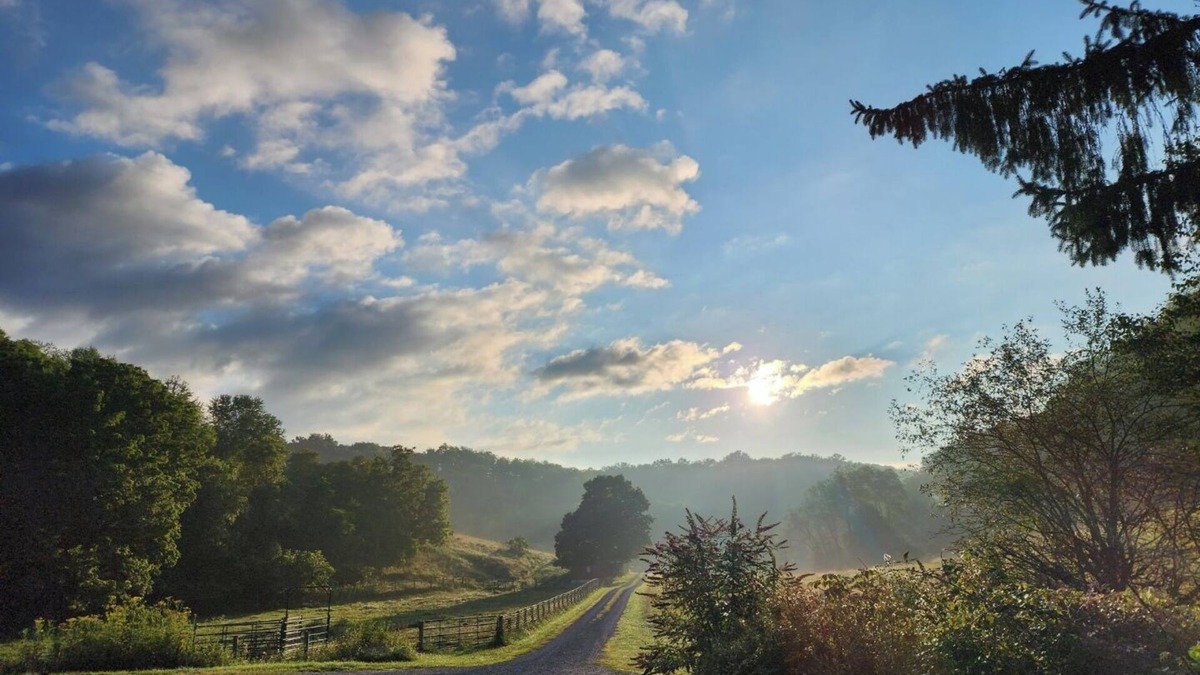 Lewisburg Cabin | Wild Wonderful Primitive Cabin in WV, Get back to nature, fresh air, wildlife.