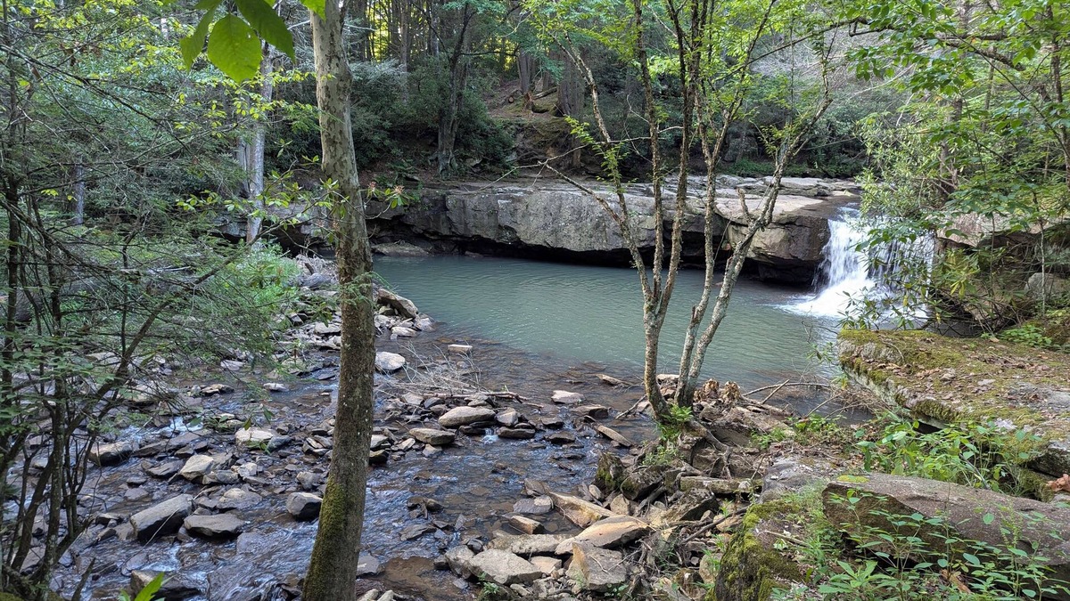 Leivasy Apartment | Wild & Wonderful WV cabin at Hominy Falls - 5 acres of wilderness on creek n