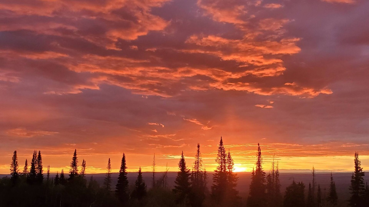 Craig Cabin | Wilderness Cabin Paradise