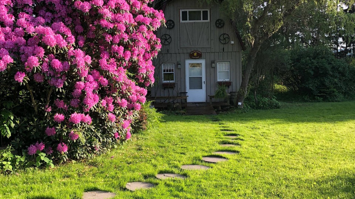 Oxford Cottage | ⭐️Wildflower Country Cottage