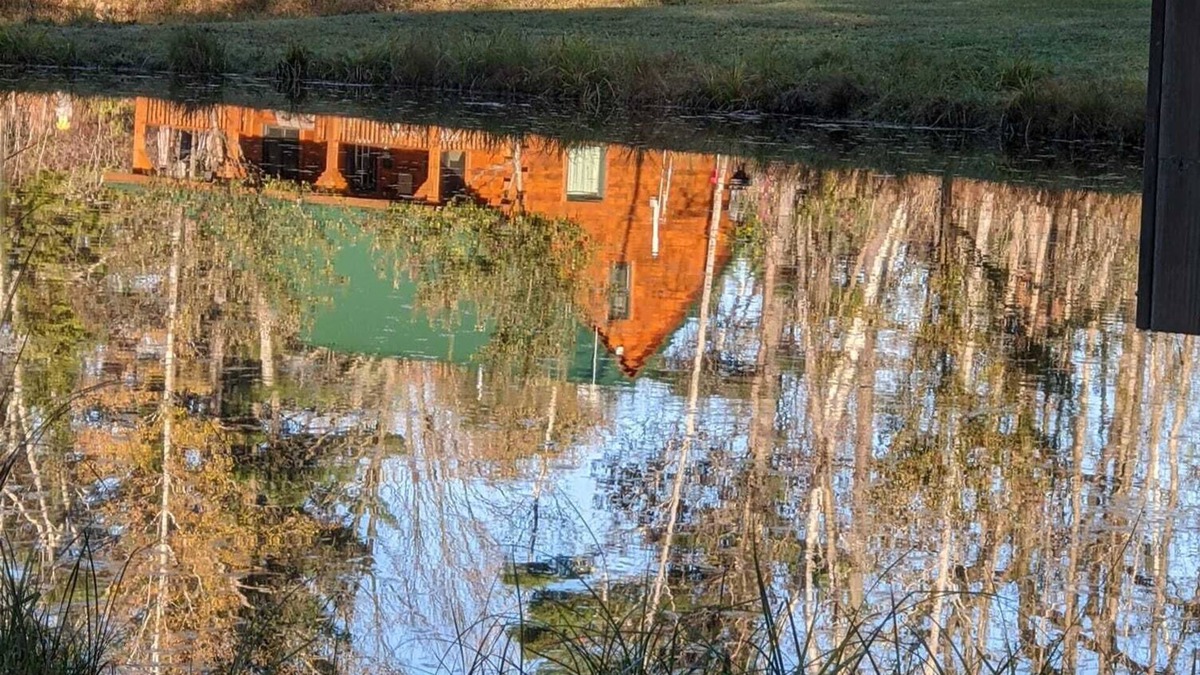 Iola Cabin | Wildlife Cabin! Spring-fed Ponds! Apple Orchard!