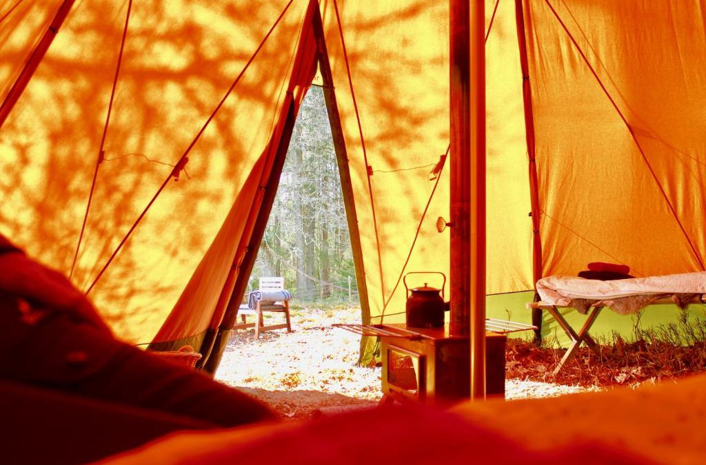 Olofstorp Other | Wildlife camp In a Nordic tipi