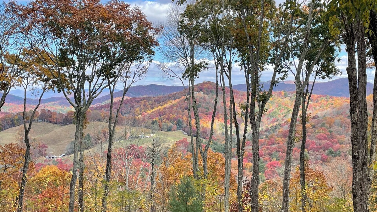 Cullowhee House | Wildwood Cabin on two acres with mountain views