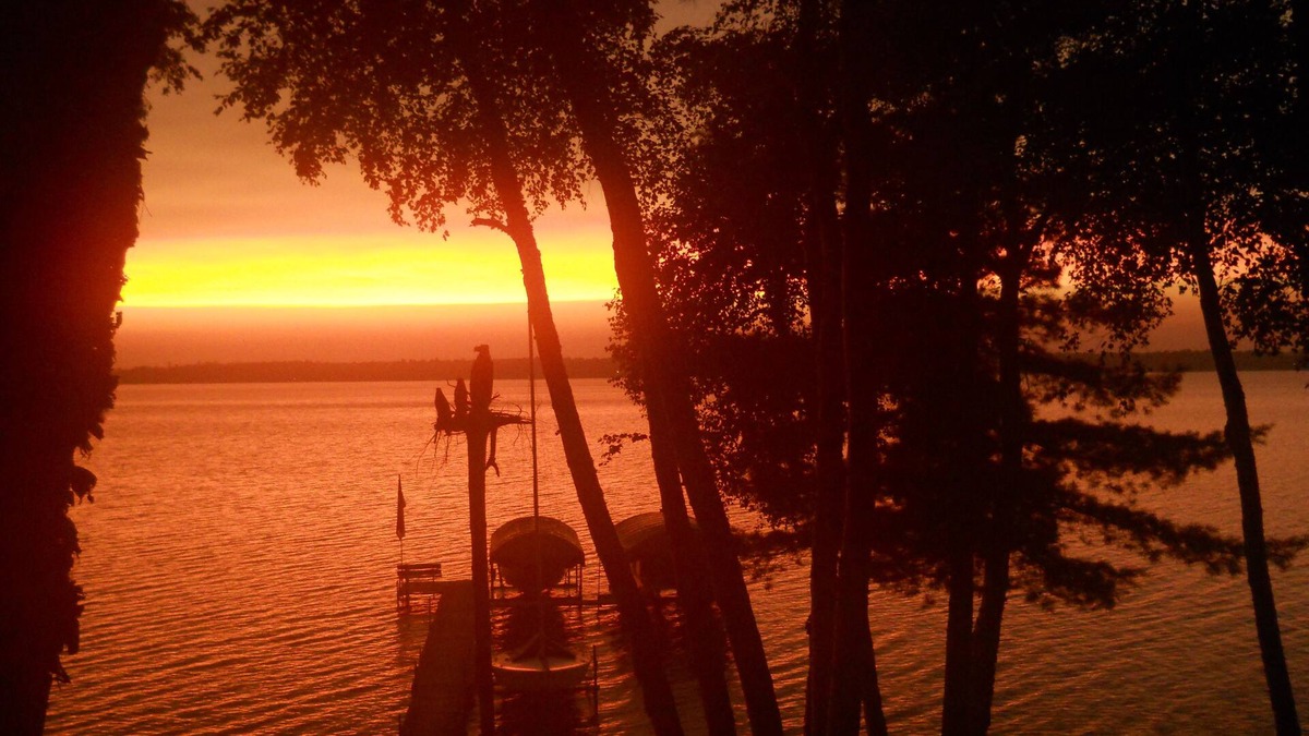 Park Rapids Cabin | WILDWOOD LODGE is nestled in the trees on FishHook Lake 2 miles from Park Rapids