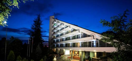 Ustron Hotel | Wilga
