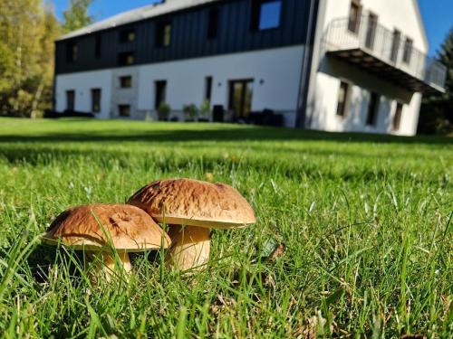 Kudowa Zdroj House | Willa Na Pstrążnicy