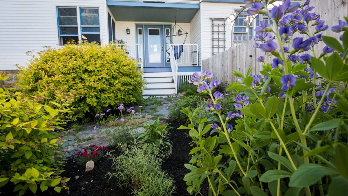 Willard Apartment | Willard Beach Get Away - Dog Friendly - Steps from the shore!