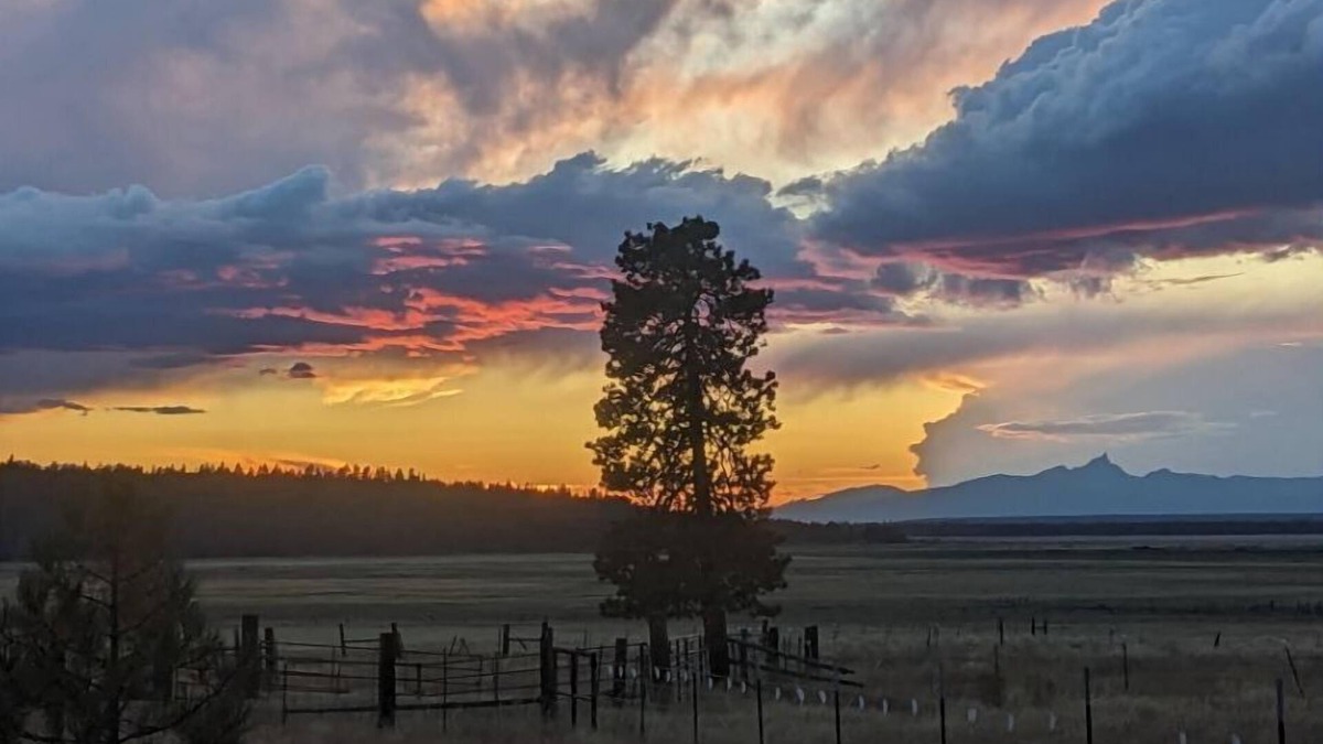 Chiloquin House | Williamson River Ranch Fishing Eclipse Exclusive Views Book Reading