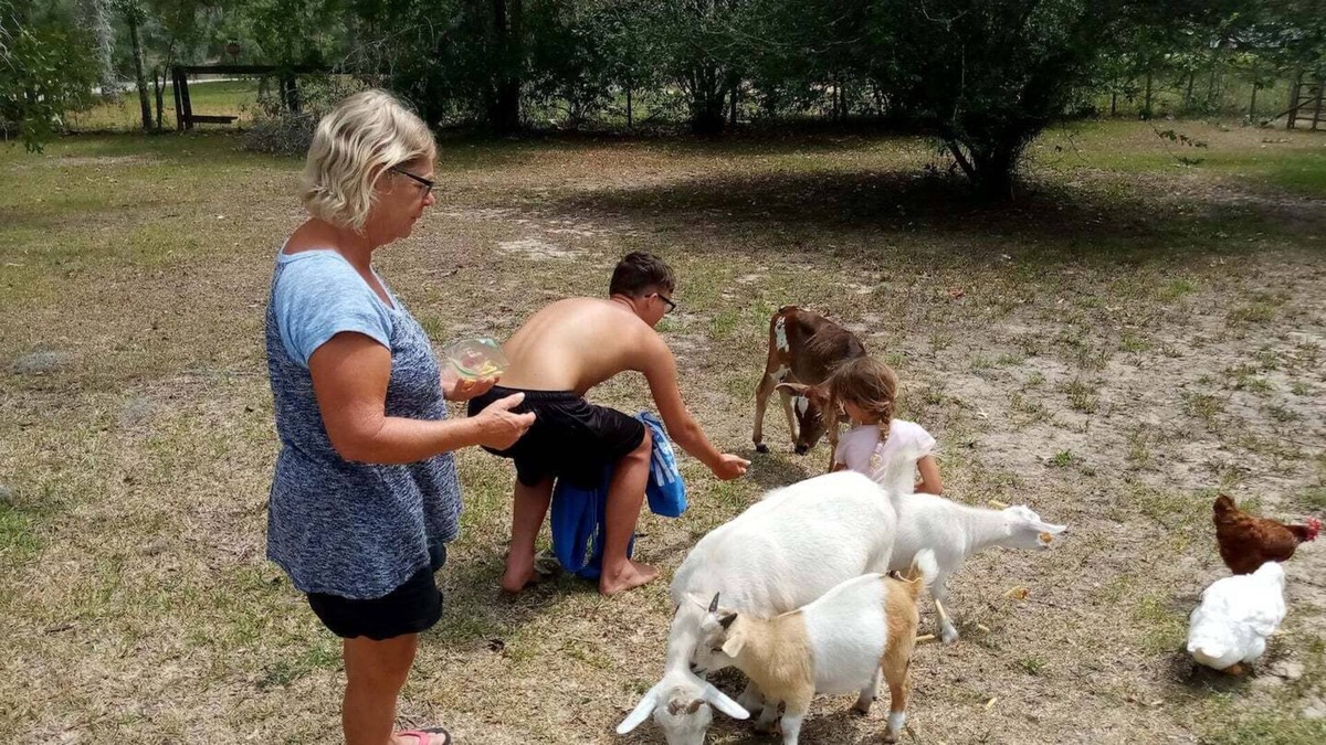 Williston Other | Williston Fl Petting Zoo 10 minutes to Blue Grotto