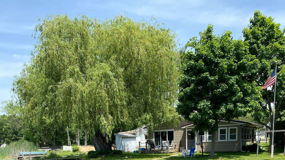 Solon Township Cottage | Willow Shores - Newly Updated Lake Front Cottage