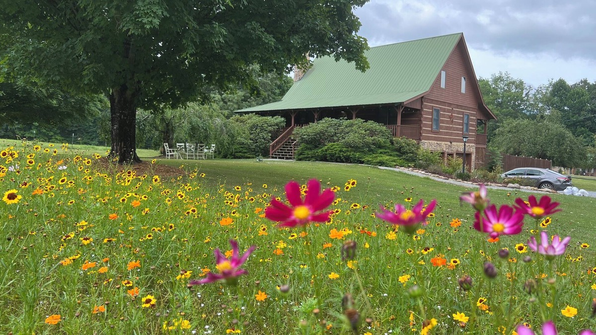 Damascus Cabin | Willow Tree Retreat Damascus, VA