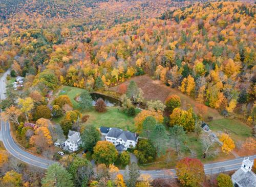 Williamsville House | Willow