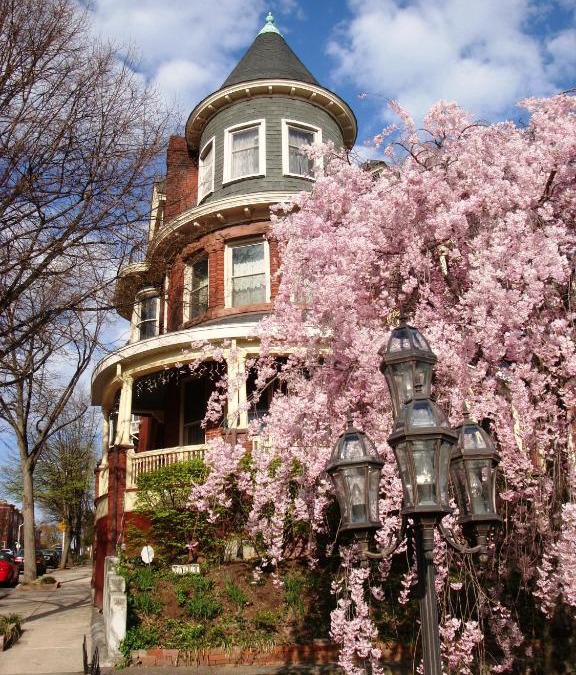 Downtown Baltimore Bed & Breakfast | Wilson House Bed & Breakfast