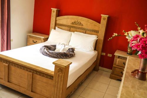 New Kingston Apartment | Winchester Sunshine
