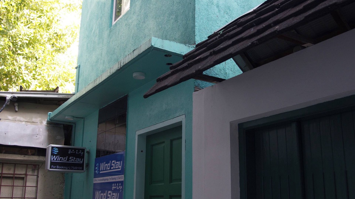 Male House | Wind Stay