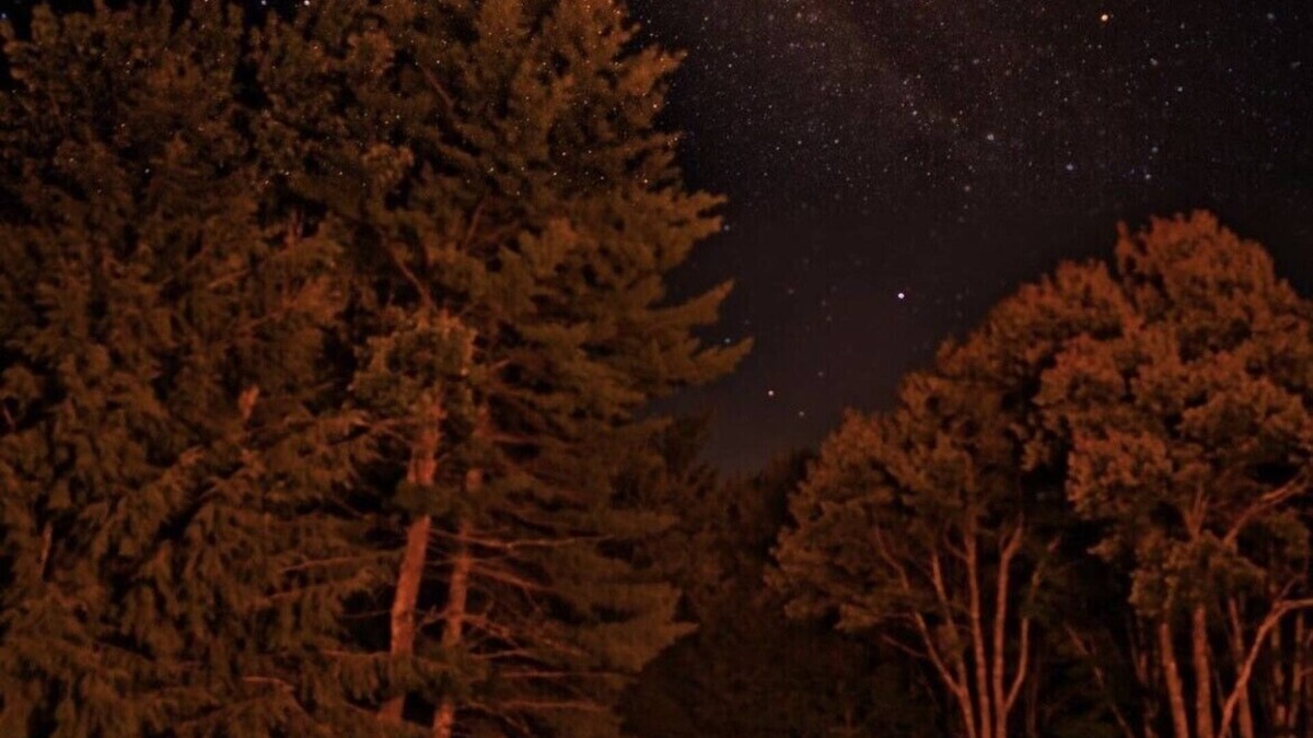 Town of Conesville Cabin | Windham 2 BR Cabin In The Woods With Bonus Vintage Updated Camper .