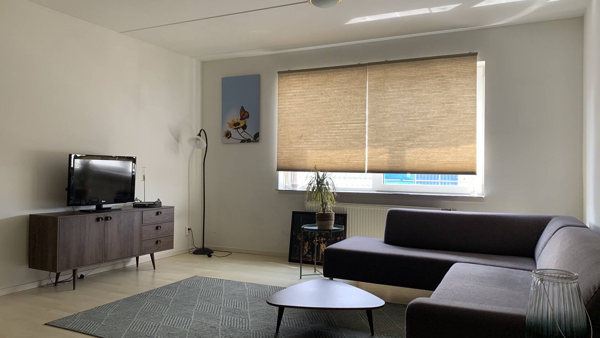 Wormer House | Windmill Beach Apartment Amsterdam - Zaanse Schans