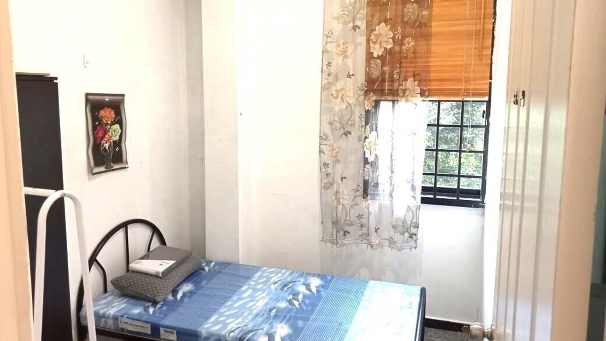 Jalan Besar Apartment | window greenery room1 near CitySQ Mall