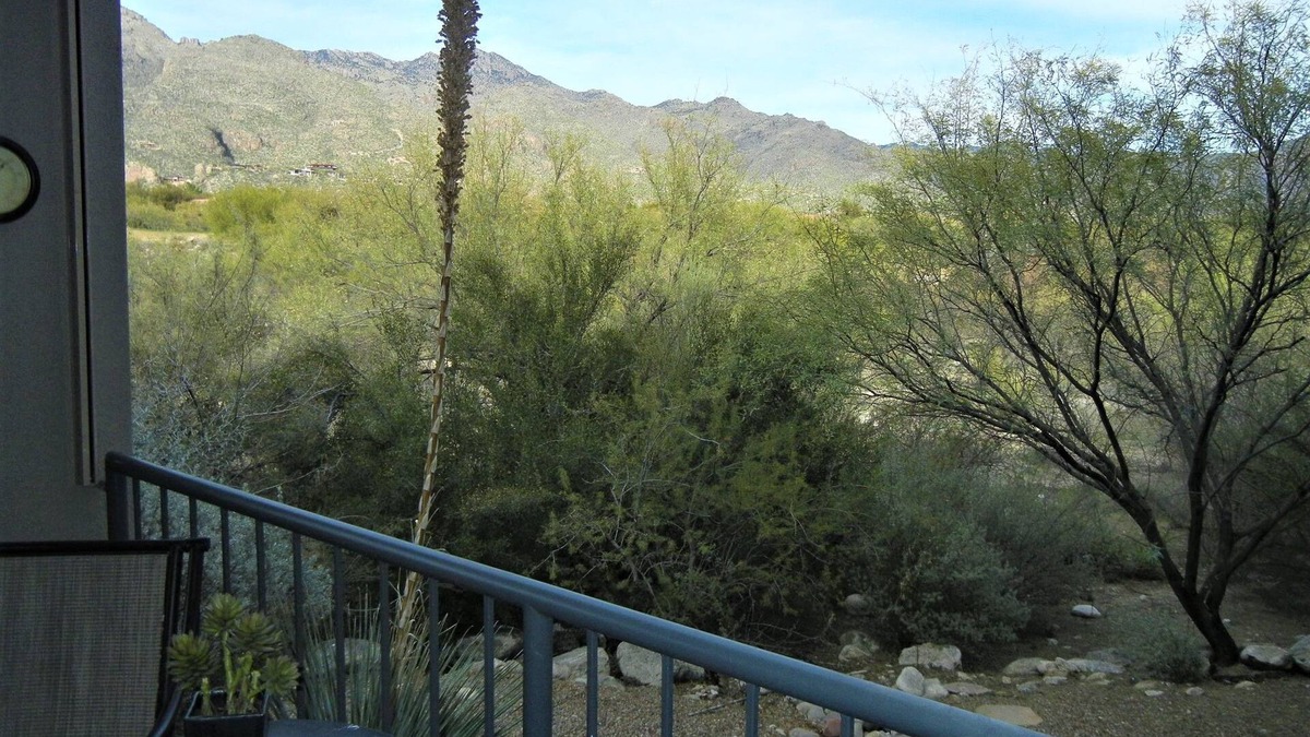 Tucson Condo | Windows to Catalina Mountains inside-out. Private patio to enjoy Tucson charm