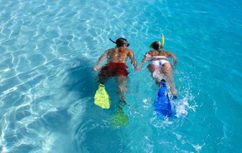 The Bight Resort | Windsong on the Reef