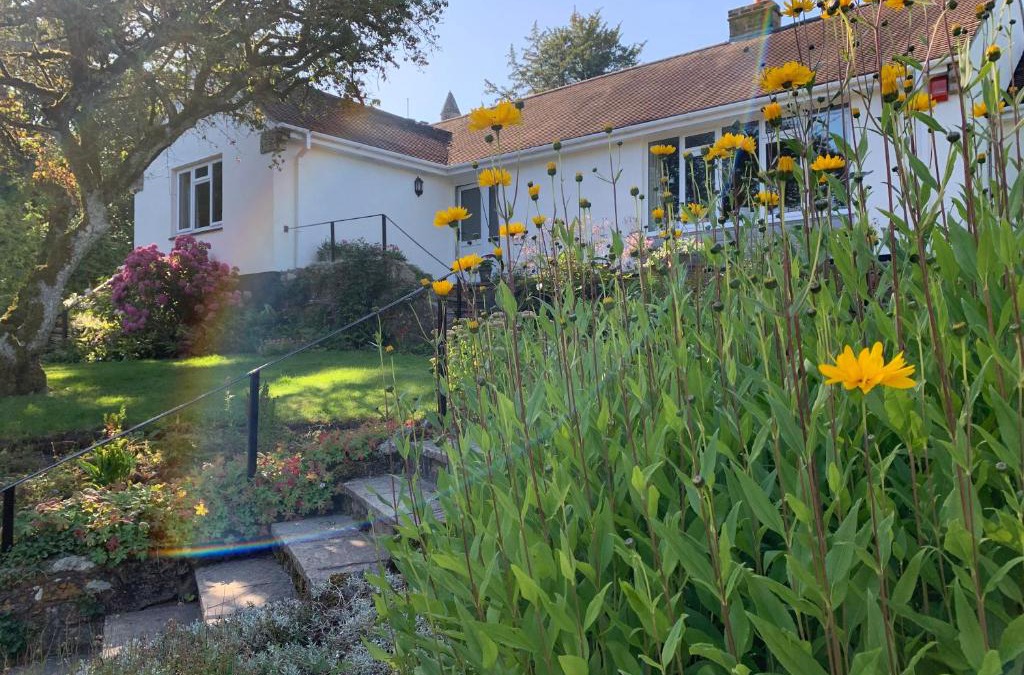 Swallowcliffe Bed & Breakfast | Wingmore