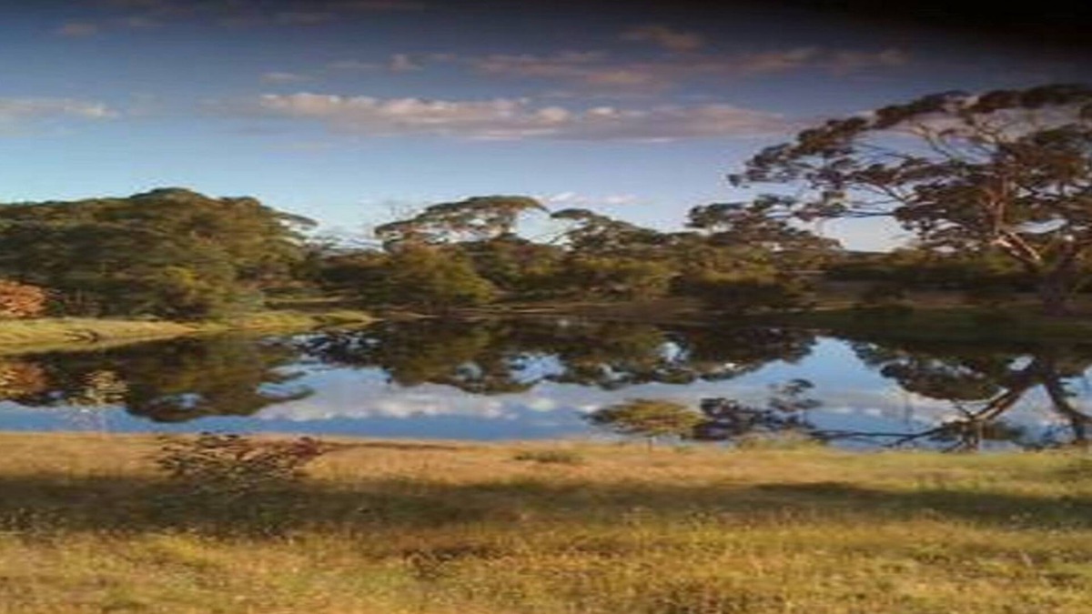 Jutland House | Wings Barossa Bird & Bush Retreat