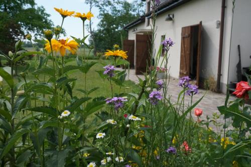 Wolka Smolana Bed & Breakfast | Winnica Brochów