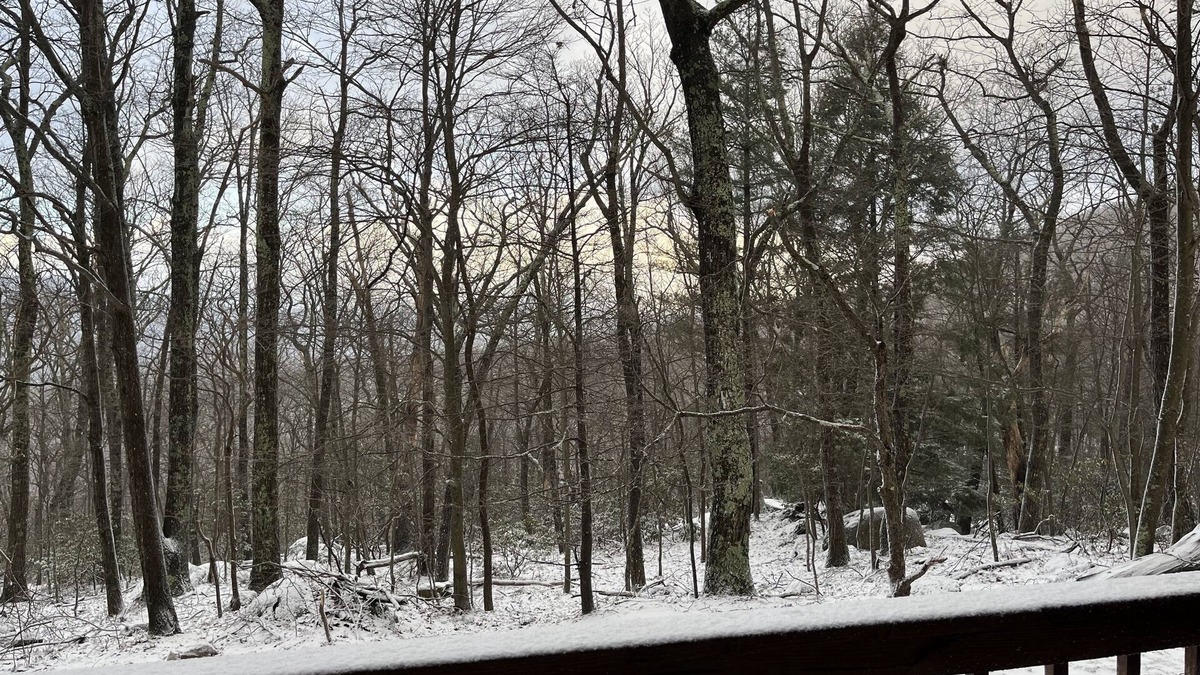 Wintergreen Condo | Wintergreen 1bed Condo, Walk to slopes, close to Hiking, Breweries, Wineries