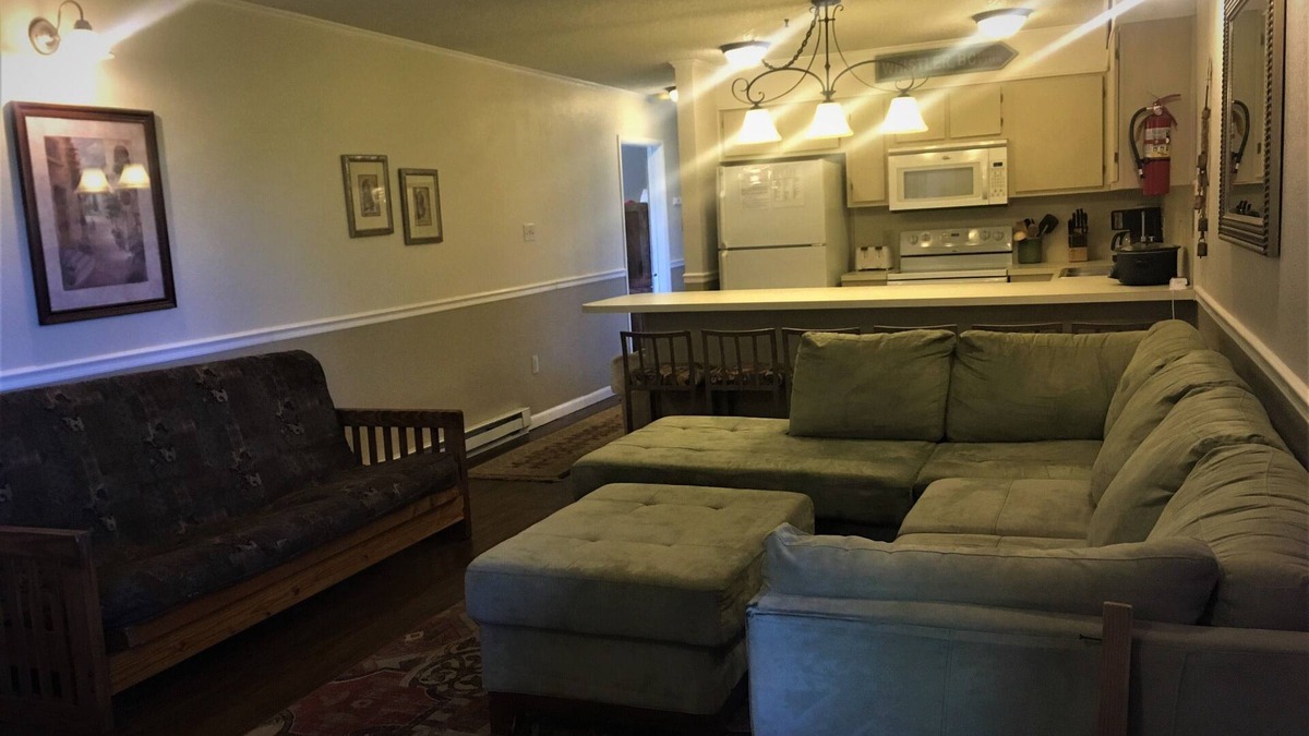 Ghent Apartment | Winterplace Condo D306