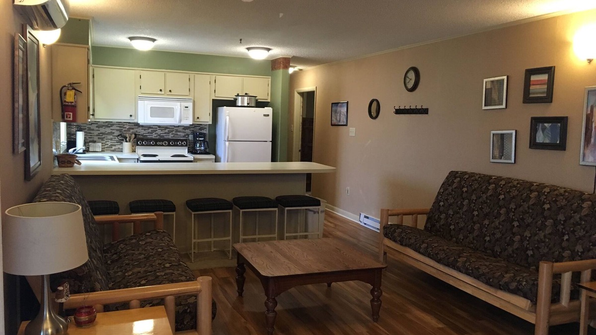Ghent Apartment | Winterplace Condo E301