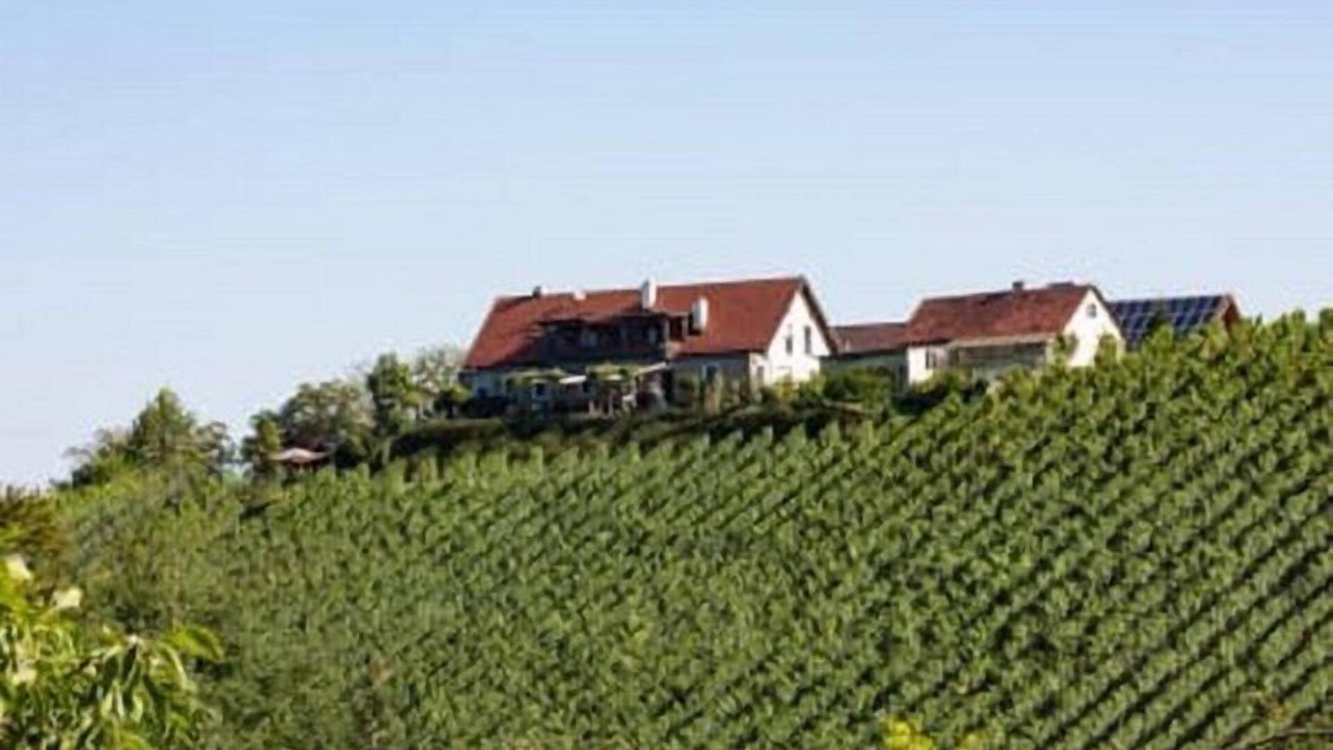 Sankt Johann im Saggautal House | Winzerhof Strablegg
