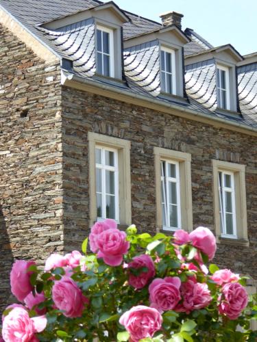 Andel House | Winzerhaus Andel