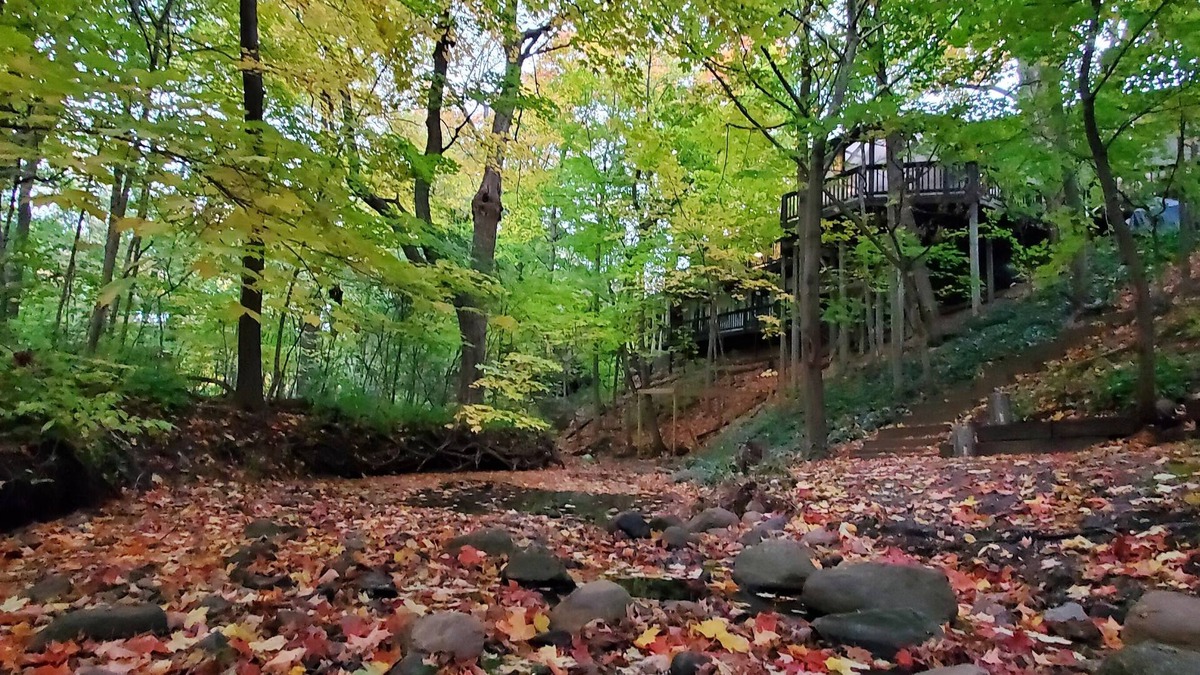 Racine Apartment | Wisconsin Treehouse Getaway!