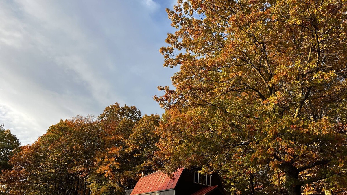Hartland House | Wise Pines Renovated Barn [Bunkhouse]