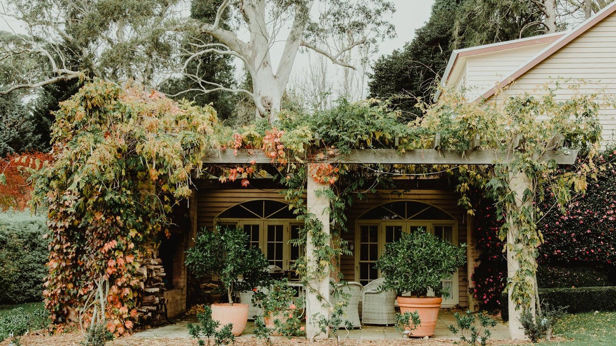 Mount Wilson Cabin | Wisteria Lodge | Mt Wilson | 24 Acres of Established Heritage Botanical Garden