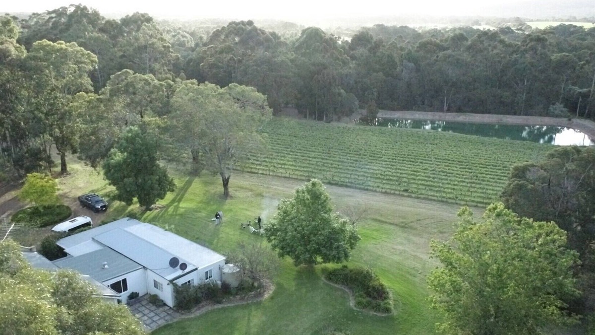 Wilyabrup House | Wisteria Vines Estate