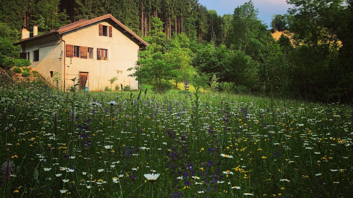 Soranzen Bed & Breakfast | With sauna and hot tub in the woods, river side. Next to Dolomiti National Park
