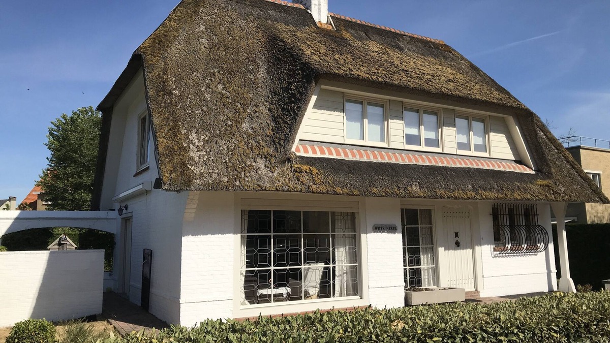 Witte Burg Villa | Witte Merel: Charming villa