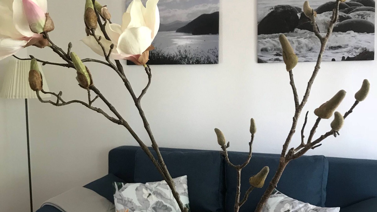 Radolfzell am Bodensee Apartment | Wo der Bodensee am schönsten ist
