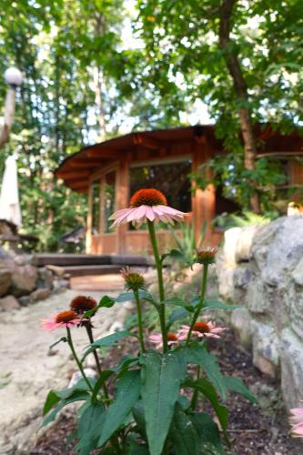 Groesbeek Cabin | Woeste Hoogte - Groesbeek